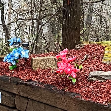 Twin Oaks Villa Bryson City Buitenkant foto