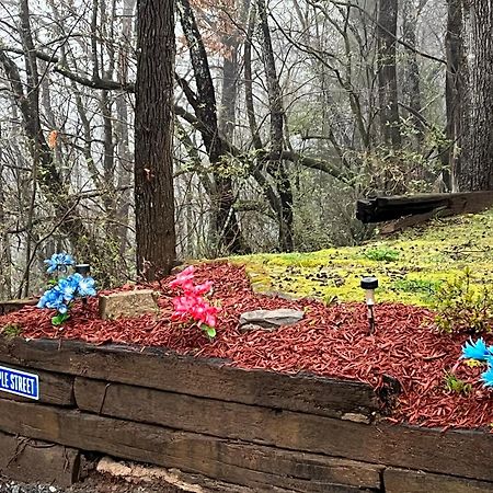 Twin Oaks Villa Bryson City Buitenkant foto